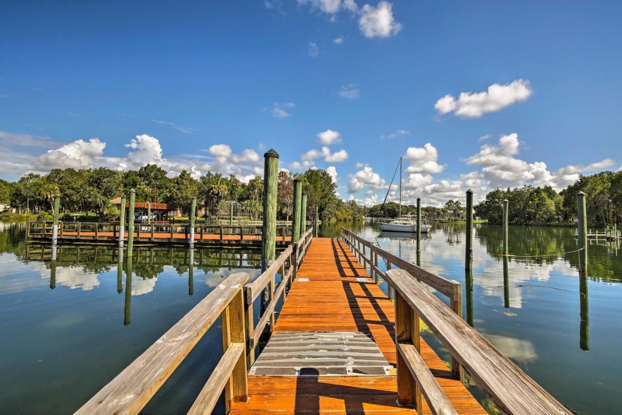 Crystal River House Scalloping And Dock, Gulf 7 Mi! Ngoại thất bức ảnh